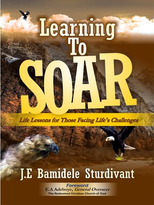 cover image of Learning to Soar